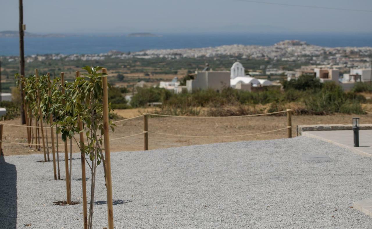 Naxos Infinity Villa And Suites Galanado ภายนอก รูปภาพ